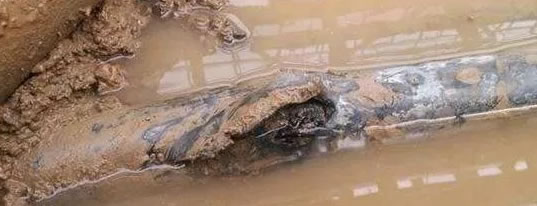 ��|��ֵ������