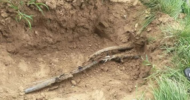 �����³�